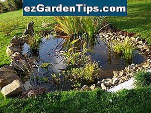 Comment entretenir un étang naturel 🌱 Conseils Jardiniers - Fr.ezGardenTips.com