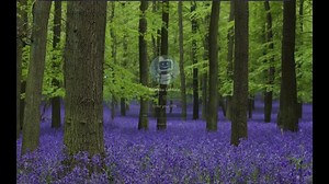 SOLIDWORKS 2025 with Linux and VMware | Markku Lehtola