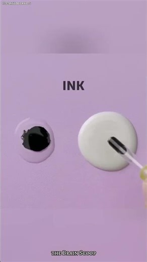 science experiment Shorts #science #shorts