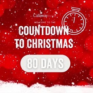 It's officially 80 days til Christmas! Pre-Purchase your Fantasy In Lights tickets today and experience the magic of the holidays with your family. https://www.callawaygardens.com/resort-experiences/signature-events/fantasy-in-lights/ | Callaway Resort & Gardens