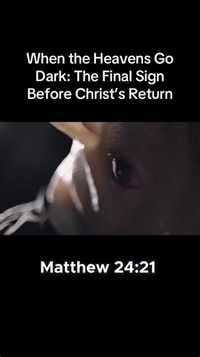When the Heavens Go Dark: The Final Sign Before Christ’s Return #jesus #god #bible #endtimes #faith