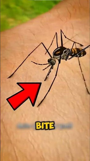 What Mosquitoes ACTUALLY Do When They Bite You 😳