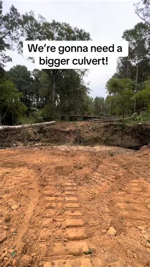 3.3K views · 45 reactions | Wow!! #logging #tigercat #forestry #dirt #fyp #reaction | Jazlyn Smith | Facebook