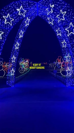 One pass. All the fun. All day. 🎟️✨ From pyramids and theaters to ICE LAND and Holiday Lights, the One-Day Value Pass is your ticket to the best Moody Gardens experience! Get tickets: https://bit.ly/42QgxMj | Moody Gardens
