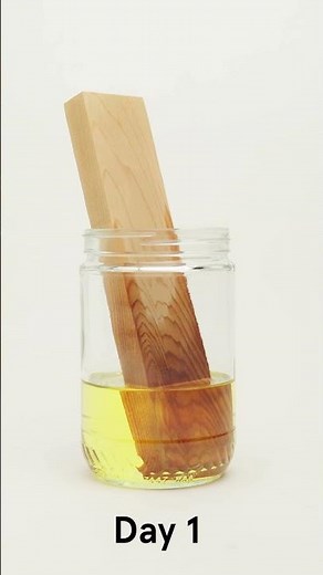 The Capillary Action of a Purified Linseed Oil on Wood: Time-Lapse [Short]