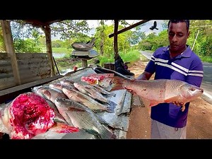 You Won't Believe! Fresh Fish Cutting Street Village Market Style In Traditional Marketplace Magic