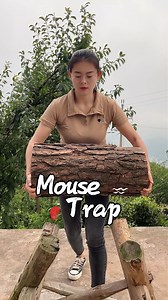 876K views · 9.9K reactions | From China’s Countryside: The Lost Art of Wooden Mouse Traps, Crafted by a Young Artisan蝹 #handmade #viralvideo #foryou #homemade #diy #woodworking #villagelife #craft #china #tradition | 乡村灵子 | Facebook