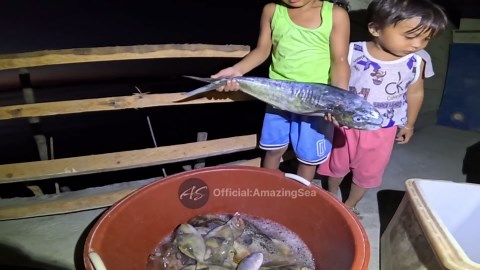 Discover amazing marine life with me