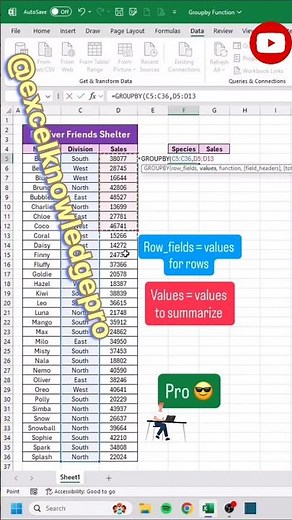 "Excel Group By Function | Create Summary Report from Big Data in Seconds"