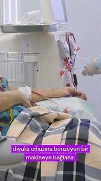 Allojenik Kök Hücre Nakli Nedir? / What Is Allogeneic Stem Cell Transplantation?