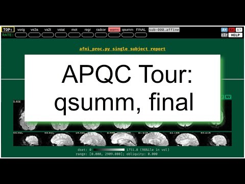 [AFNI Academy] APQC HTML: Tour qsumm and final