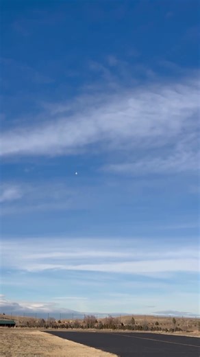 Freewing L-39 inverted and knife edge