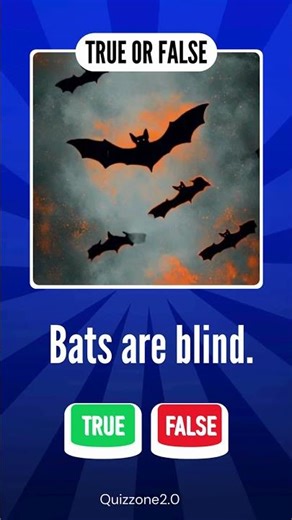 🦇 Bats Are Blind? TRUE or FALSE! 👀| #BatFacts #TrueOrFalse #animalmyths