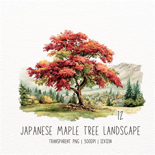 12 Japanese Maple Tree Landscape Clipart| Watercolor Red Maple Autumn Nature PNG Transparent Background - Etsy