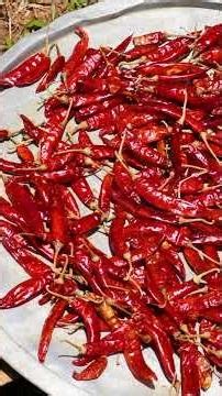 රහට කන්න පිරිසිදුව තුනපහ හදමු | How To Make Curry Powder #traditionalvillagekitchen #shorts