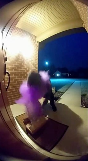 😳😳Package Thief Gets Pranked🎉 #shorts #funny #robbery