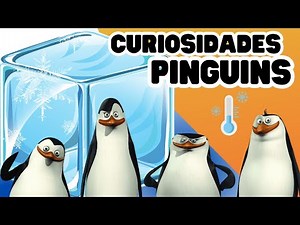 Curiosidades sobre os Pinguins | Top 10 Curiosidades Infantil