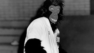 The History of The Gorilla | Phoenix Suns