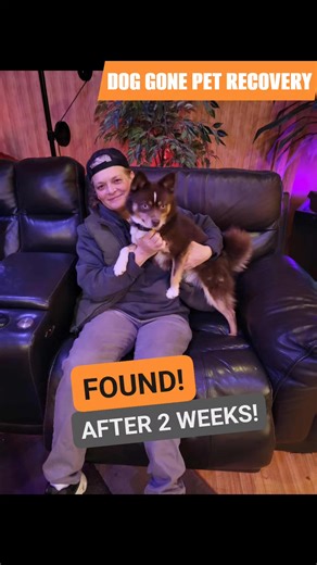 I was searching for Banjo for two weeks without one sighting, before he was found by a good Samaritan and brought home after she saw one of his many flyers and immediately recognized him. Banjo's owners did a phenomenal job postering the surrounding neighborhoods... and that's ultimately what led to his home coming. Flyers get sightings and sightings get your dog home safe. Welcome home, Banjo! 🐾 #LOSTDOG #found #doggonepetrecovery #dronerescue #missingpet | Dog Gone Pet Recovery