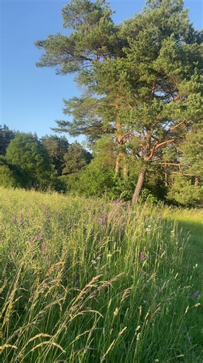 Exploring Spring in the Countryside