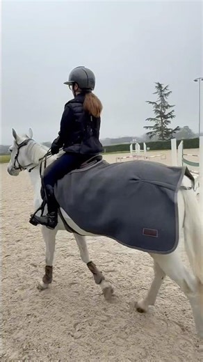 Relaxing before our jumping lesson 🩶 #equestrian #pony #horse
