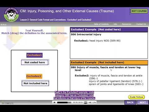HCGTV: Course Snippet - ICD-10-CM General Code Format and Conventions - Excludes1 and Excludes2