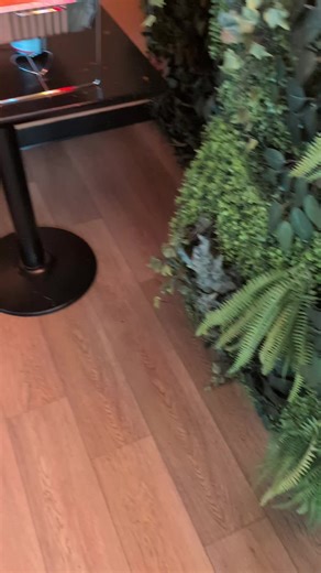 Efty dishes (@eftydishes5)’s videos with original sound - Efty dishes