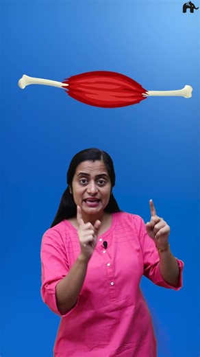 11 Biology one shot videos with Roshni Mam - Locomotion and Movement chapter NCERT covered