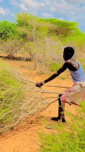 Weli dhacan beer ma usoo goysay adiga idaawanaayo commentiga nagula wadaag | Cabdulaahi Maxamed