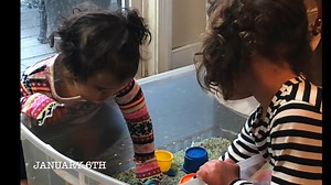 Final Multimedia Project