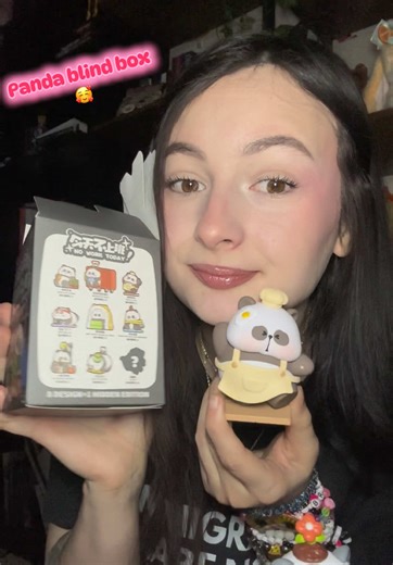 Cute Panda Blind Box Collectibles Revealed!
