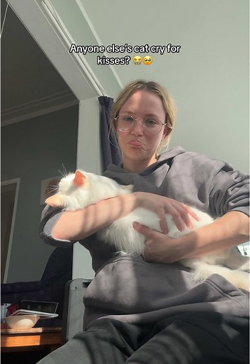 My precious angel 🥹😭 #cat #cute #kitten #crying #ragdoll