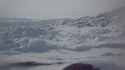 Quintet.1979.WEBRip.x264