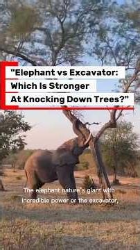 "Elephant vs Excavator: Which Is Stronger At Knocking Down Trees?"