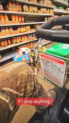 “The Moment Caged Dog Realizes She’s Free 💖” She spent her life behind bars. Then came the moment she realized — she was finally free. 🥹🐶 Special thanks to 👇👇👇 @cricketandherveteran5524 on Yt #RescueDog #AdoptDontShop #FreedomForAnimals #HeartwarmingPets #DogRescueStory #SecondChances #WholesomeAnimals #LoveHeals #CagedToCuddled #fyp #viral #petsoftiktok #cuteanimals #petlovers #petlife #animals #pets #love #trending #dogsoftiktok #puppy #doglover #dogoftheday #woofwoof #furbaby #doglife #