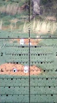 Cadex Defense Kraken Review - 1000yd Gun?