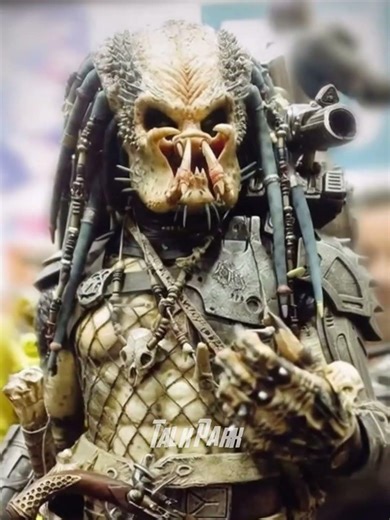 Why Do Higher-Ranked Predators Get Such Better Treatment