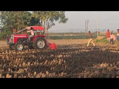Massey Ferguson Dynatrace 254 Di 4wd DEMO with Nipha Rotavator performance #tractor #tractorvideo