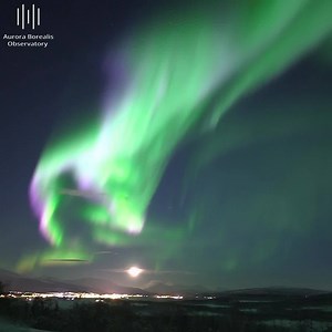 Craziest pink aurora you´ll ever see (from last full moon show in January) | Aurora Borealis Observatory
