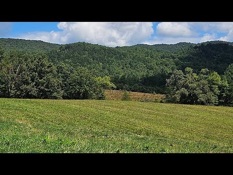 🚗 Scenic Drive Through Cades Cove | Great Smoky Mountains National Park