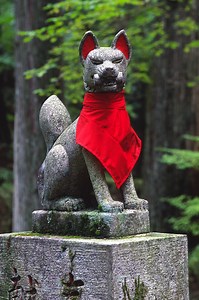 Stone Fox [1987 TV Movie], new on dvd