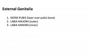 BIO 202 Lab #2 Reproductive Systems | Educreations