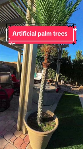Turn your backyard into a tropical escape without the maintenance. This realistic artificial palm tree adds instant resort vibes to patios, poolsides, and outdoor seating areas — no watering, no mess, just year-round greenery #backyard #yarddecor #artificialtree #palmtrees #tiktokshopcreatorpicks