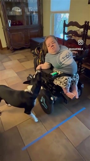 Penny’s new skill is coming along! 🐾🔘 #servicedog #disability #osteogenesisimperfecta #dogvideos