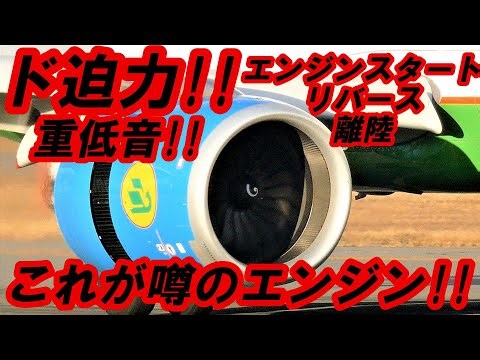 FDA ド迫力!! エンジンのパワー!! 信州まつもと空港だとこうなる!!