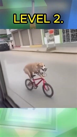 You won’t pass Level 4 😭🙏#funny #trynottolaugh #roblox #memes #rblx