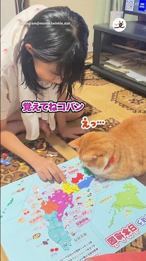 Learning the map of Japan together lol | PECO