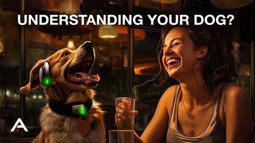 Can Dogs Understand Us Better Than We Think?