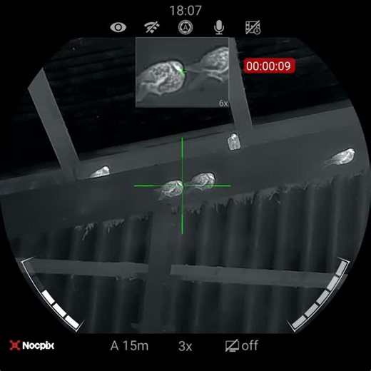 vermin & pest control 💯💥🐀👌 on Instagram: "Out controlling rats and feral pigeons with this absolutely brilliant set up. RTI Arms MORA Paired with the Nocpix Ace H50 Nocpix QUEST H50R BINOCULARS!!! Extremely impressed with the picture quality through the scope and binoculars. Just editing my latest youtube channel video 📹 I'll get the full video up as soon as possible. Session preview Kit used while out RTI Arms MORA. 22 NocPix Ace H50 Nocpix Quest H50R binoculars SunwayfotoT3620CS tripod sy