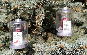 Dollar Tree Mason Jar Ornaments - Michelle James Designs